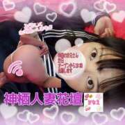 ヒメ日記 2026/03/22 08:01 投稿 かなえ モアグループ神栖人妻花壇