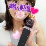 ヒメ日記 2026/03/23 08:04 投稿 かなえ モアグループ神栖人妻花壇