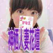 ヒメ日記 2026/03/26 08:39 投稿 かなえ モアグループ神栖人妻花壇