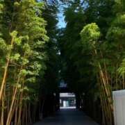 ヒメ日記 2026/08/20 11:47 投稿 松岡 さき 千葉Grand Mrs.