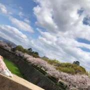 ヒメ日記 2026/03/29 11:15 投稿 いつき アラモード