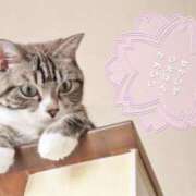 ヒメ日記 2026/05/01 13:06 投稿 いつき アラモード
