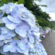 ヒメ日記 2026/07/01 00:03 投稿 いつき アラモード