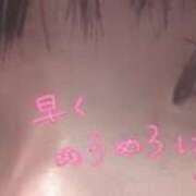 ヒメ日記 2026/03/07 19:26 投稿 ちょこ 新潟市鳥屋野潟ちゃんこ