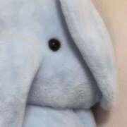 ヒメ日記 2026/03/14 00:16 投稿 ちょこ 新潟市鳥屋野潟ちゃんこ