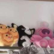 ヒメ日記 2026/03/31 16:56 投稿 ちょこ 新潟市鳥屋野潟ちゃんこ