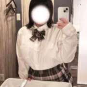 ちょこ ピンクのチェック🎀💕💓💗 新潟市鳥屋野潟ちゃんこ