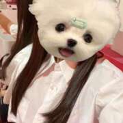 ヒメ日記 2026/03/13 09:15 投稿 みう べっぴんコレクション