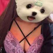 ヒメ日記 2026/04/02 00:17 投稿 みう べっぴんコレクション