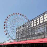 ヒメ日記 2026/03/13 12:00 投稿 丹羽友子 五十路マダム 浜松店(カサブランカグループ)