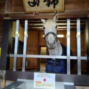 ヒメ日記 2026/04/06 20:40 投稿 丹羽友子 五十路マダム 浜松店(カサブランカグループ)