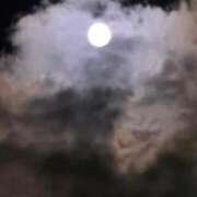 ヒメ日記 2026/03/11 10:58 投稿 竹中 熟女の風俗最終章 横浜本店