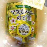 ヒメ日記 2026/03/13 12:06 投稿 天海 熟女の風俗最終章 新横浜店