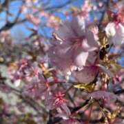 ヒメ日記 2026/03/14 12:48 投稿 かえで モアグループ熊谷人妻花壇