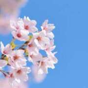 ヒメ日記 2026/04/05 12:18 投稿 なみ シルクハット