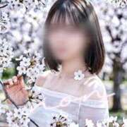 ヒメ日記 2026/03/30 10:47 投稿 のん Lounge Yoki東京