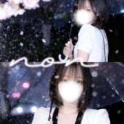 ヒメ日記 2026/04/01 10:17 投稿 のん Lounge Yoki東京