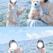 ヒメ日記 2026/04/29 10:57 投稿 のん Lounge Yoki東京