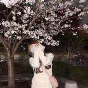 ヒメ日記 2026/03/26 07:02 投稿 みはね 新宿平成女学園