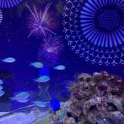 みはね 一緒に♡ 新宿平成女学園