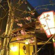 ヒメ日記 2026/03/10 17:41 投稿 いとな 熟女の風俗最終章 宇都宮店