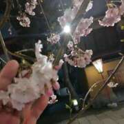 ヒメ日記 2026/03/11 19:11 投稿 いとな 熟女の風俗最終章 宇都宮店