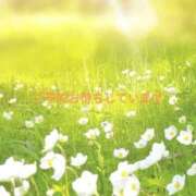 ヒメ日記 2026/03/25 20:05 投稿 いとな 熟女の風俗最終章 宇都宮店