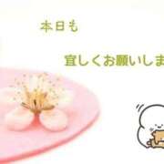 ヒメ日記 2026/05/07 08:51 投稿 いとな 熟女の風俗最終章 宇都宮店