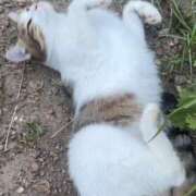 ヒメ日記 2026/03/06 02:48 投稿 えま 女の子がセルフで撮影する店！！成田デリヘル『生パネル』伝説