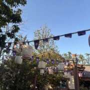 ヒメ日記 2026/04/02 02:21 投稿 えま 女の子がセルフで撮影する店！！成田デリヘル『生パネル』伝説