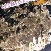 ヒメ日記 2026/04/01 13:20 投稿 ゆきな 成田富里インターちゃんこ