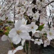 ヒメ日記 2026/03/10 03:05 投稿 はなび 熟女の風俗最終章 錦糸町店