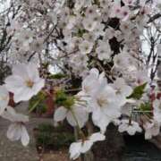 ヒメ日記 2026/03/16 13:55 投稿 はなび 熟女の風俗最終章 錦糸町店