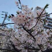 ヒメ日記 2026/04/07 19:31 投稿 はなび 熟女の風俗最終章 錦糸町店