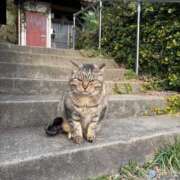 ヒメ日記 2026/03/17 07:29 投稿 にしん 素人系イメージSOAP彼女感大宮館