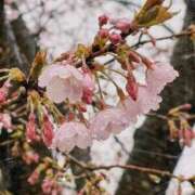 ヒメ日記 2026/03/25 16:20 投稿 三好さつき やみつきエステ錦糸町店