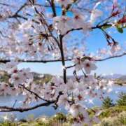 ヒメ日記 2026/04/04 06:20 投稿 三好さつき やみつきエステ錦糸町店