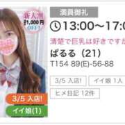 ヒメ日記 2026/04/03 19:43 投稿 ぱるる 秋葉原ハンドメイド