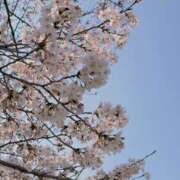 ヒメ日記 2026/04/02 18:01 投稿 ななせちゃん ちょい！ぽちゃロリ倶楽部Hip's馬橋店