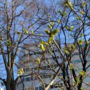 ヒメ日記 2026/04/18 10:26 投稿 はな SOAPLAND LOVE FACTORY