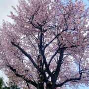 ヒメ日記 2026/04/27 05:56 投稿 はな SOAPLAND LOVE FACTORY