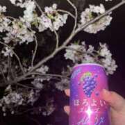 ヒメ日記 2026/04/15 06:47 投稿 みれあ 奴隷コレクション