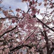 ヒメ日記 2026/03/19 16:26 投稿 北川 佳澄 Canx2 R40神戸店