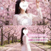 ヒメ日記 2026/04/02 11:03 投稿 まい デリピン　ハワイ