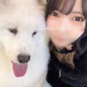 ヒメ日記 2026/03/22 02:20 投稿 えなち ウルトラホワイト