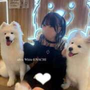 ヒメ日記 2026/03/26 02:00 投稿 えなち ウルトラホワイト