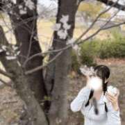 ヒメ日記 2026/03/31 10:21 投稿 清水りあ ウルトラプラチナム