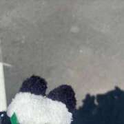 おとめ 太陽SUN SUN Club label