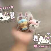 ヒメ日記 2026/09/26 23:14 投稿 おとめ いざ候 本館