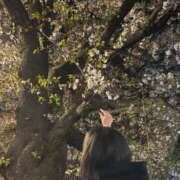 ヒメ日記 2026/04/17 14:07 投稿 ゆりか いざ候 本館